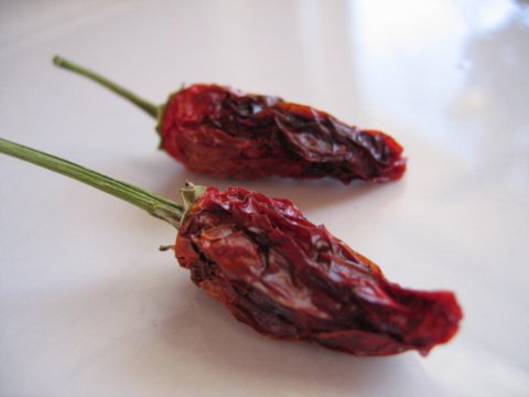 http://monkey.org/~jose/figs/IMG_0600.jpg