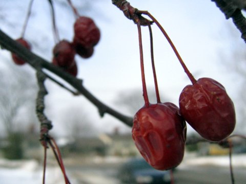 http://monkey.org/~jose/figs/IMG_0610.jpg