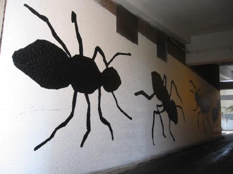 http://monkey.org/~jose/figs/IMG_3296.JPG