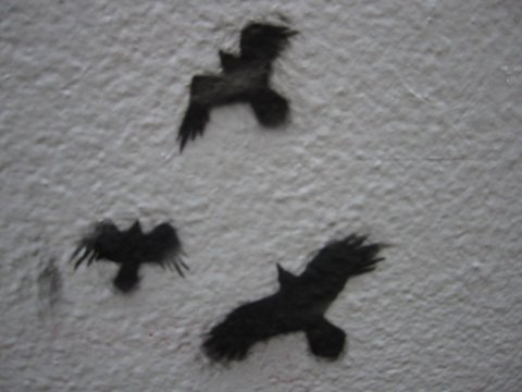 http://monkey.org/~jose/figs/IMG_3830.jpg