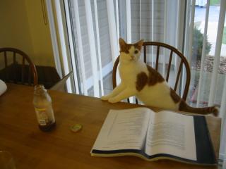 http://monkey.org/~jose/figs/maus-study.jpg
