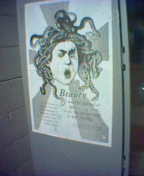 http://monkey.org/~jose/moblog/pics/beauty.jpg