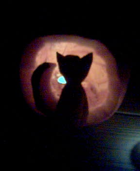 http://monkey.org/~jose/moblog/pics/beths_pumpkin.jpg