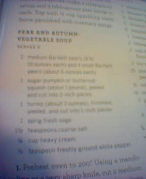 http://monkey.org/~jose/moblog/pics/pear_and_autumn_veg_soup.jpg