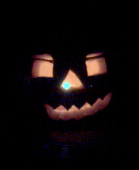 http://monkey.org/~jose/moblog/pics/pumpkin05.jpg