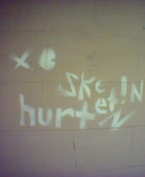 http://monkey.org/~jose/moblog/pics/skatein_hurtz.jpg