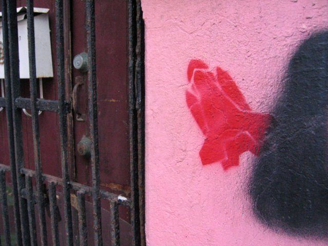 picture goes here