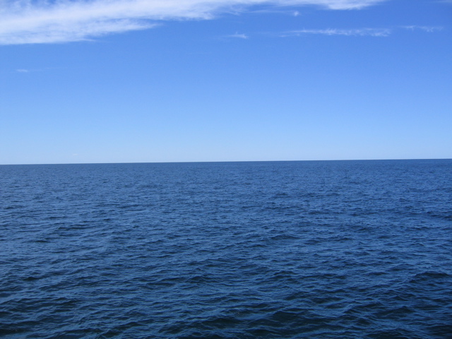 picture goes here