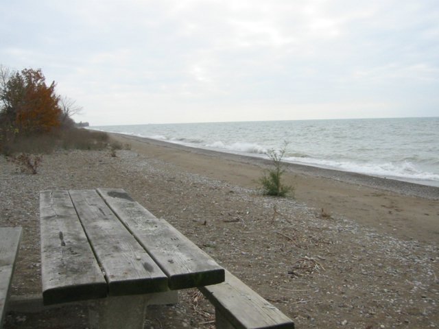 picture goes here