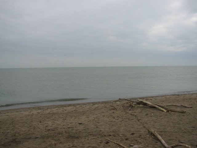 picture goes here