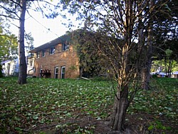 img_3896.jpg