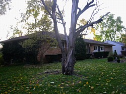 img_3897.jpg
