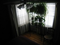 img_4259.jpg