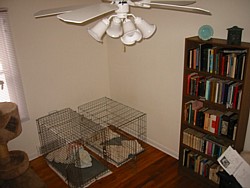 img_4260.jpg