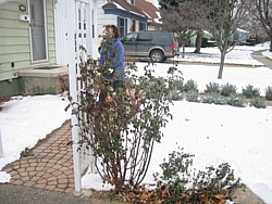 img_4277.jpg