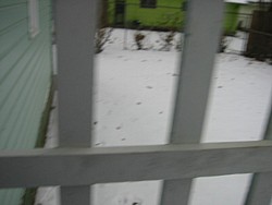 img_4280.jpg