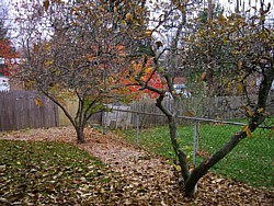 img_4040.jpg