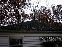 img_3967.jpg
