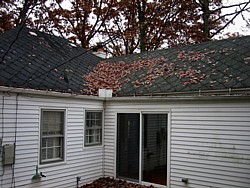 img_3970.jpg