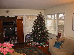 img_4537.jpg