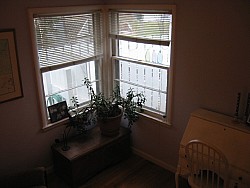 img_4538.jpg