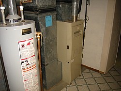 img_4546.jpg