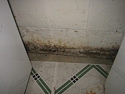 img_4549.jpg