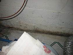 img_4550.jpg