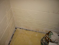 img_4551.jpg