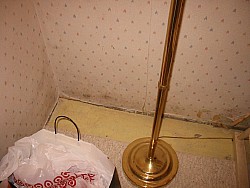 img_4552.jpg