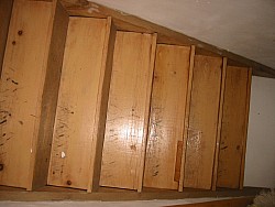 img_4517.jpg