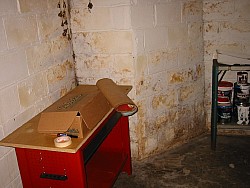 img_4520.jpg