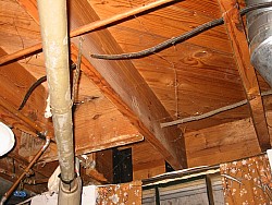 img_4524.jpg