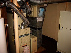 img_3993.jpg