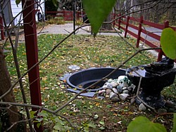 img_4014.jpg