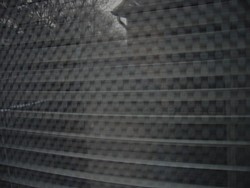 img_4184.jpg