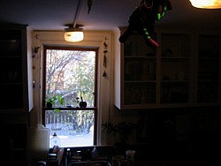 img_4233.jpg