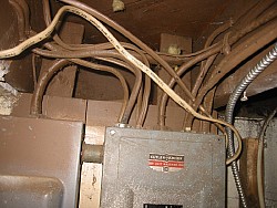 img_4903.jpg
