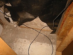 img_4905.jpg