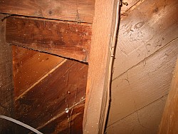img_4908.jpg