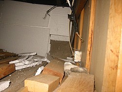 img_4909.jpg