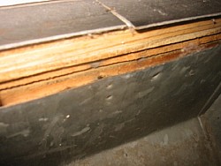 img_4949.jpg