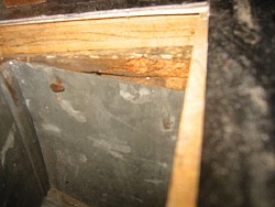 img_4950.jpg