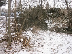 img_4969.jpg