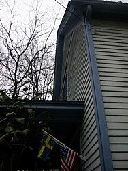 img_3937.jpg