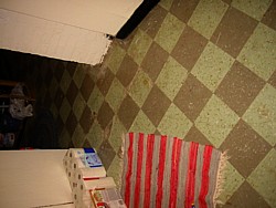 img_3943.jpg