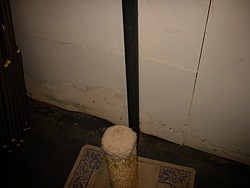 img_3931.jpg