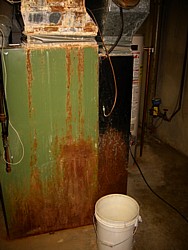 img_3960.jpg