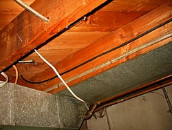 img_3962.jpg
