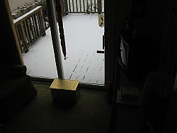 img_4455.jpg
